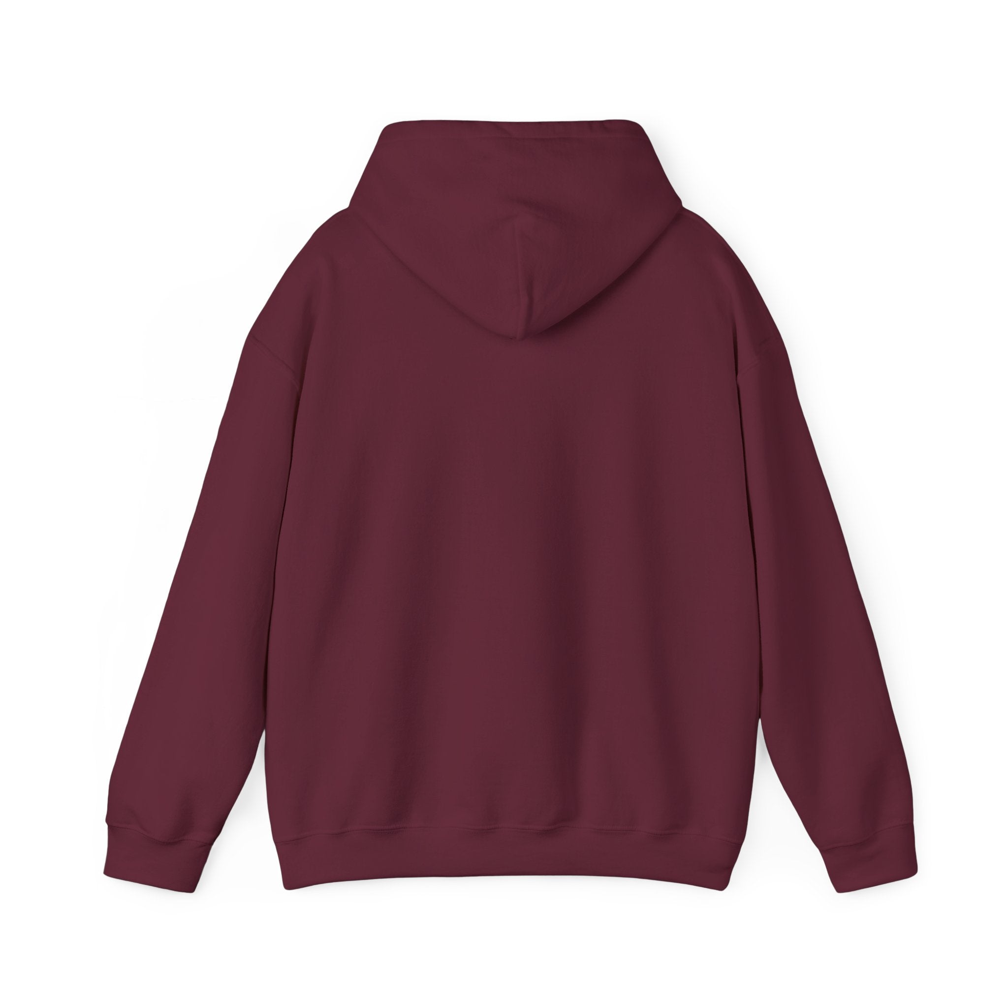 Take Me To The Mountains Hoodie — Adventure Graphic Pullover for Hikers