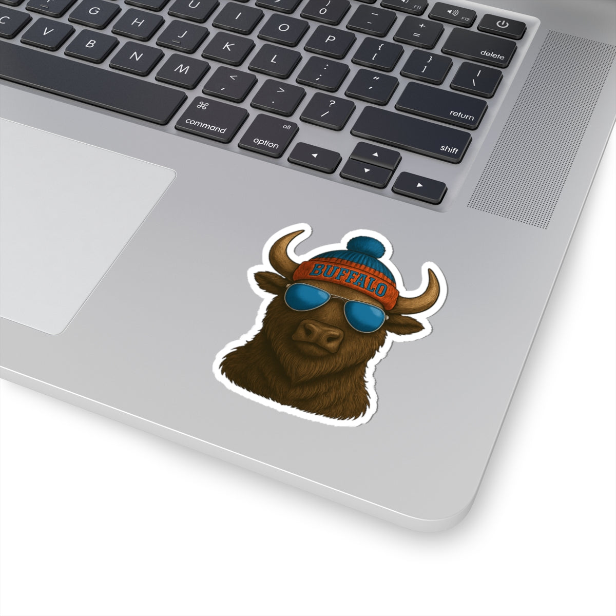 Buffalo Head sticker | Kiss-Cut Sticker, winter beanie sunglasses