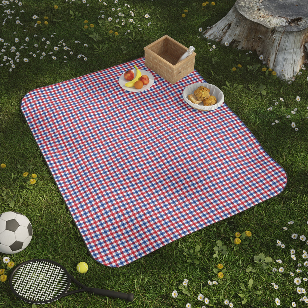 Red & Blue Gingham Picnic Blanket