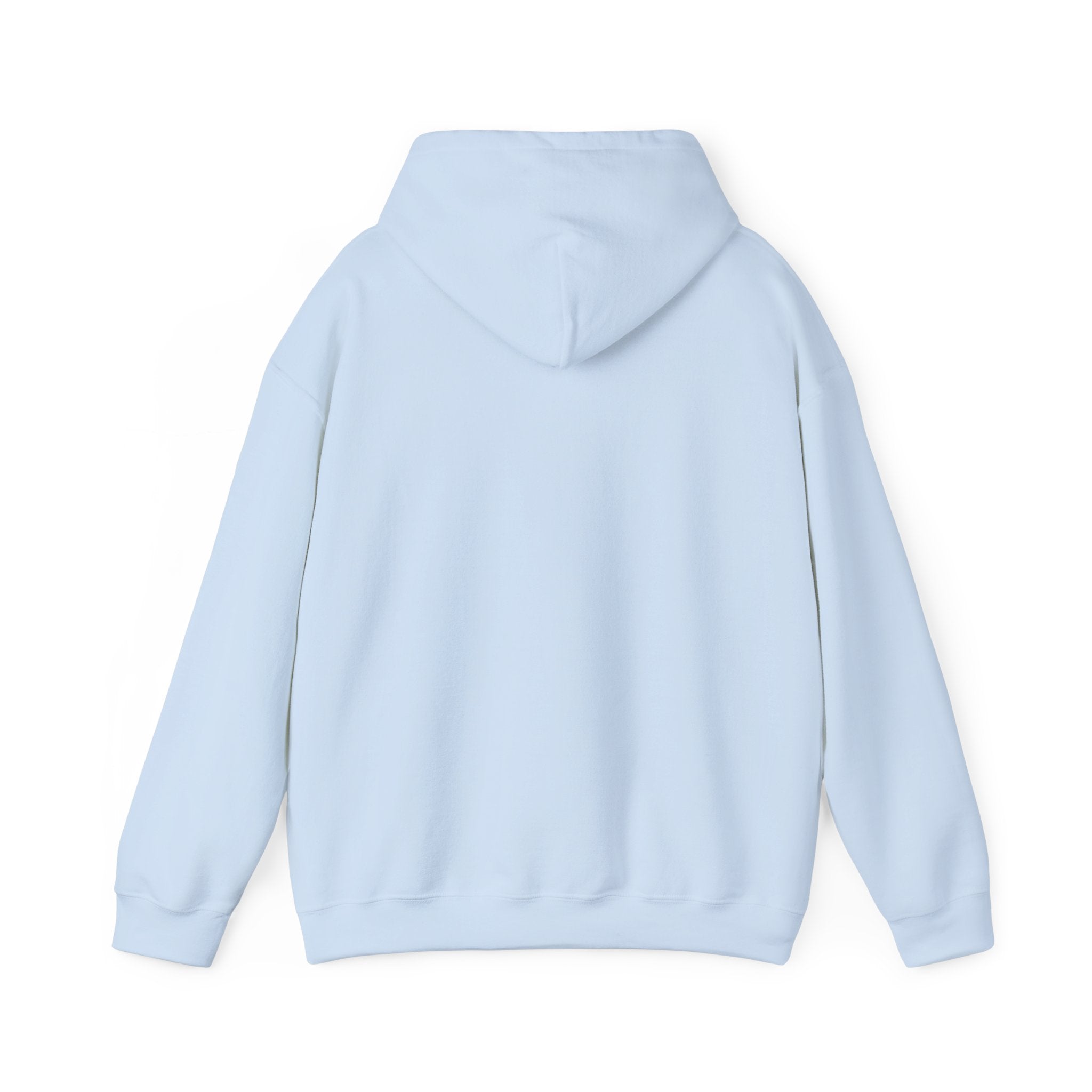 Take Me To The Mountains Hoodie — Adventure Graphic Pullover for Hikers