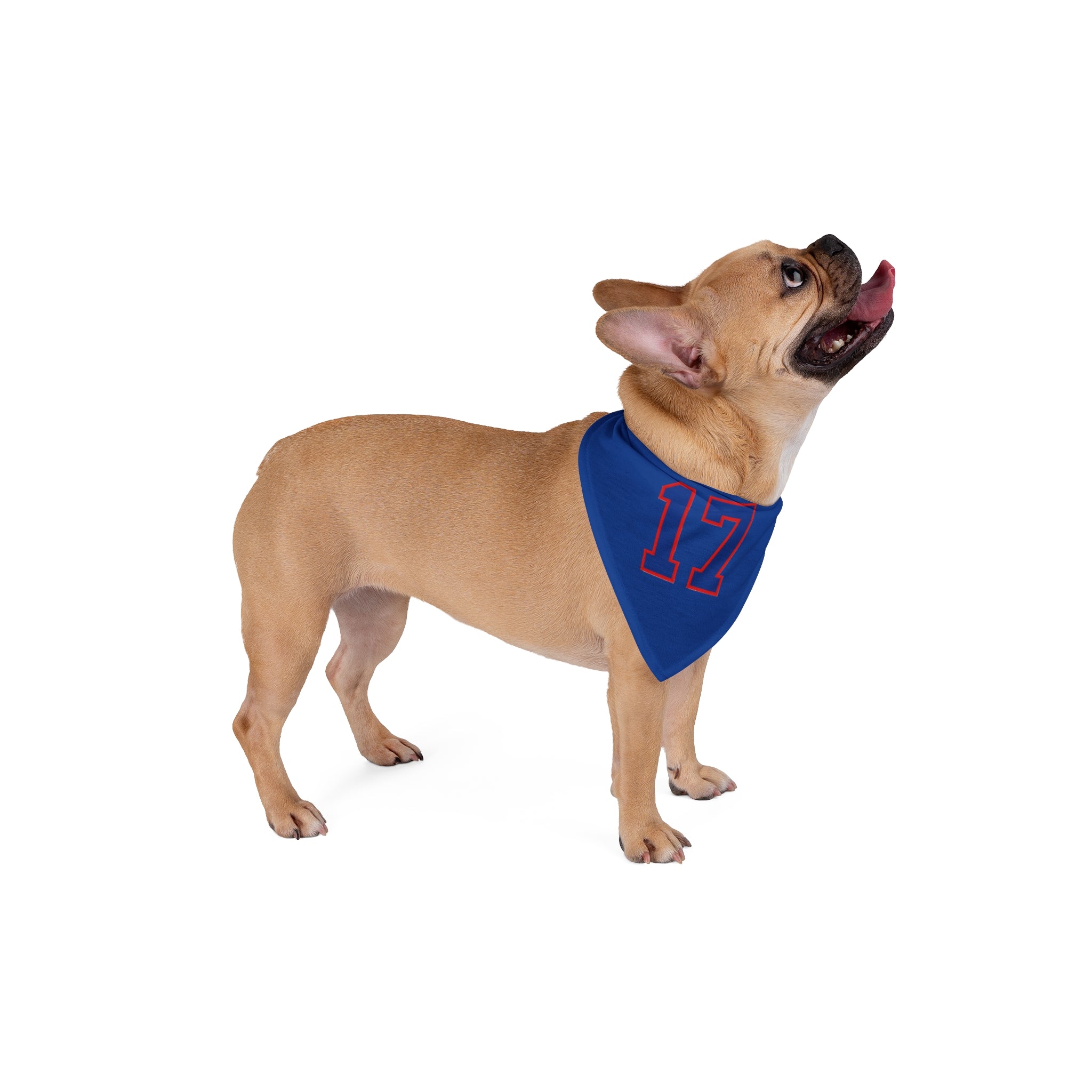 Buffalo 17 Pet Bandana | Blue dog bandana with red outline number