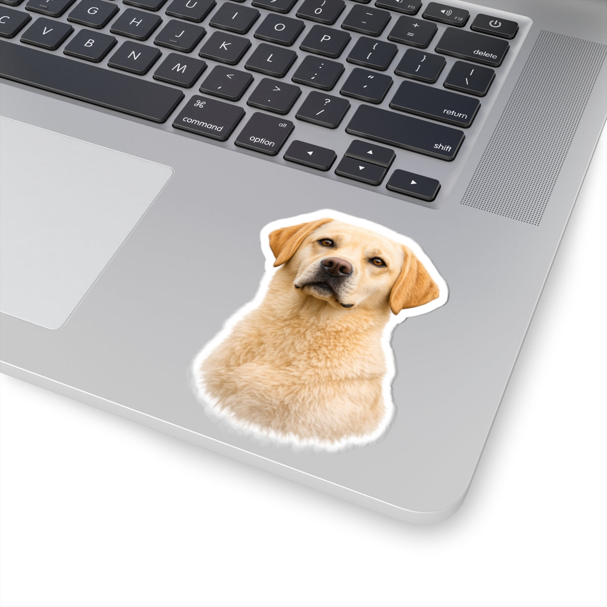 Yellow Labrador Portrait Sticker | Kiss-Cut Dog Sticker