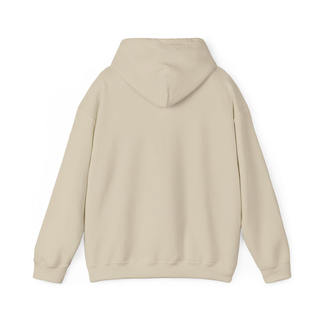 Take Me To The Mountains Hoodie — Adventure Graphic Pullover for Hikers