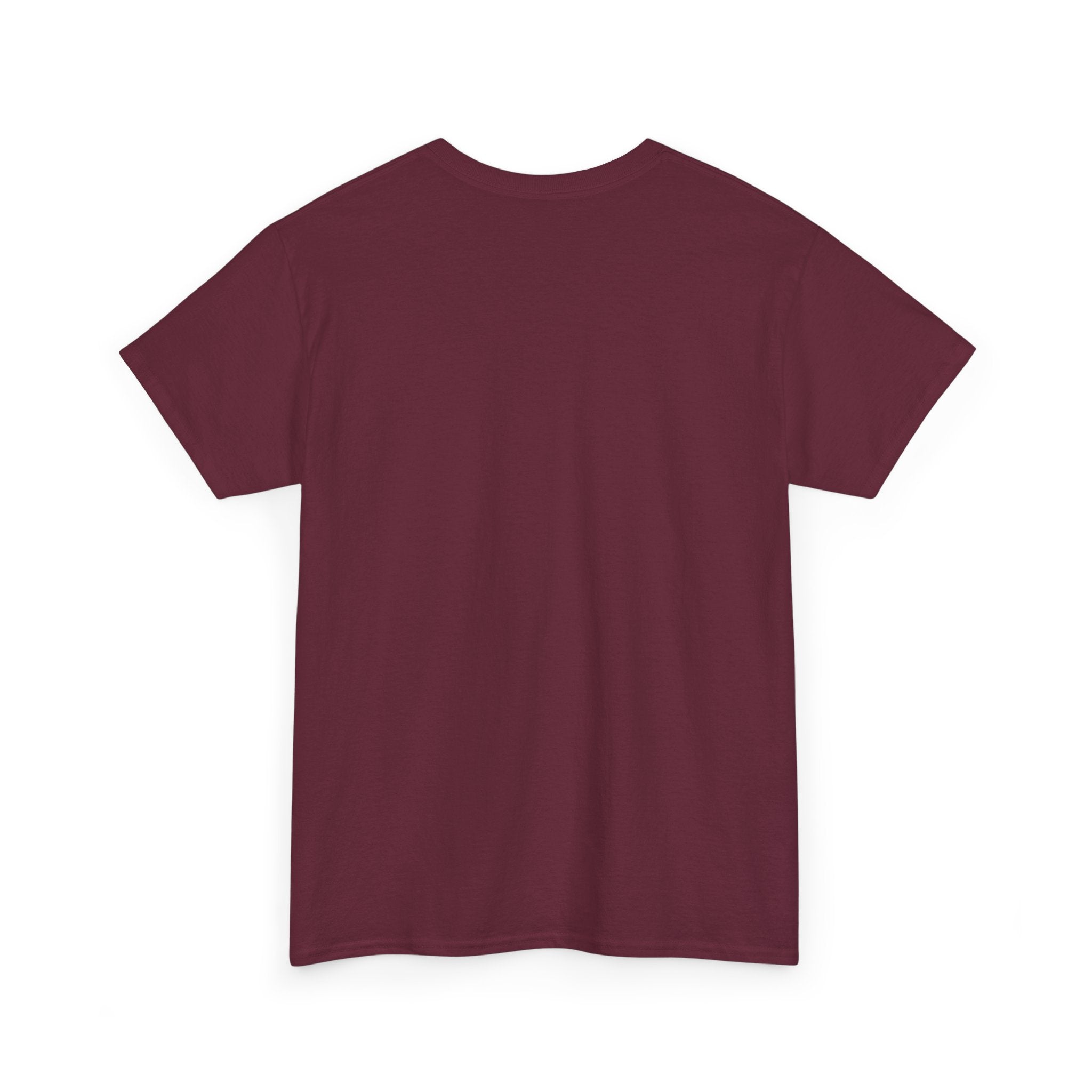 I Survived 100 Days of Hearing 67! T-Shirt