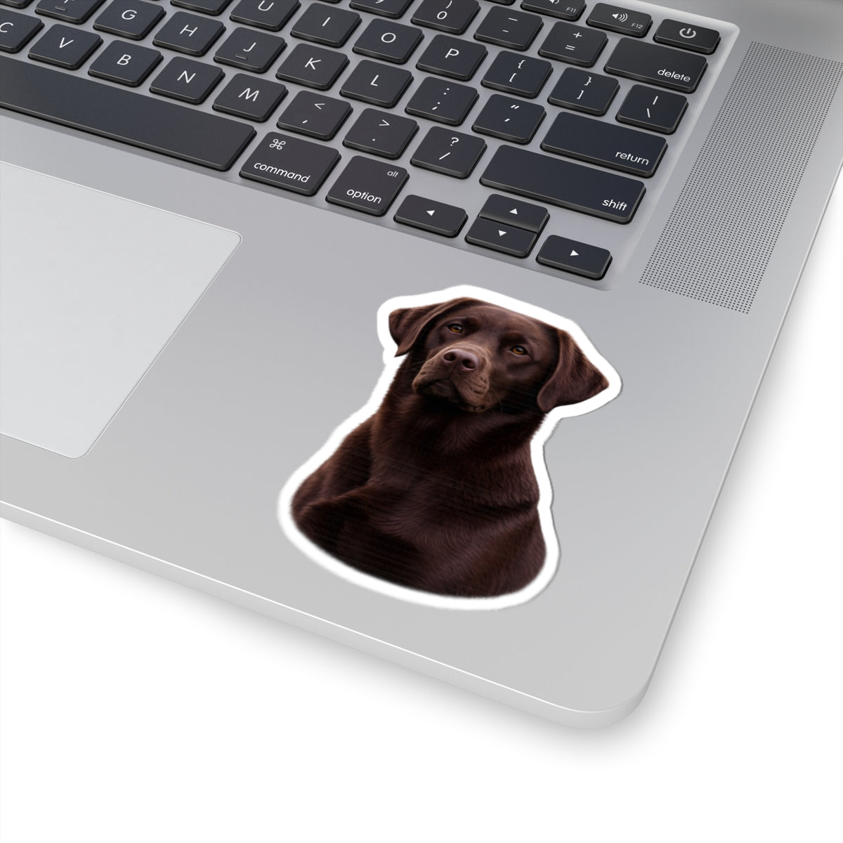 Chocolate Labrador Portrait Sticker | Kiss-Cut Sticker
