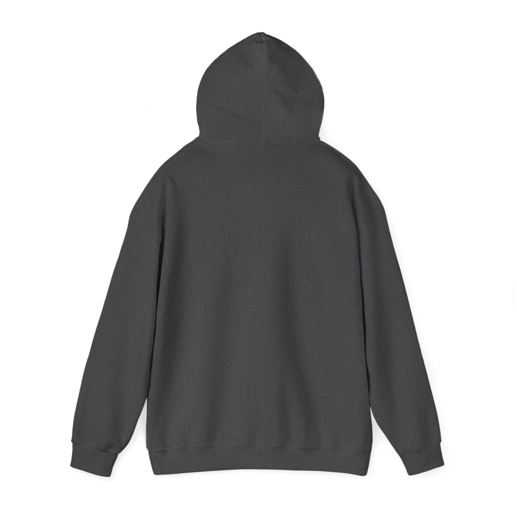 Buffalo City of Good Neighbors Hoodie