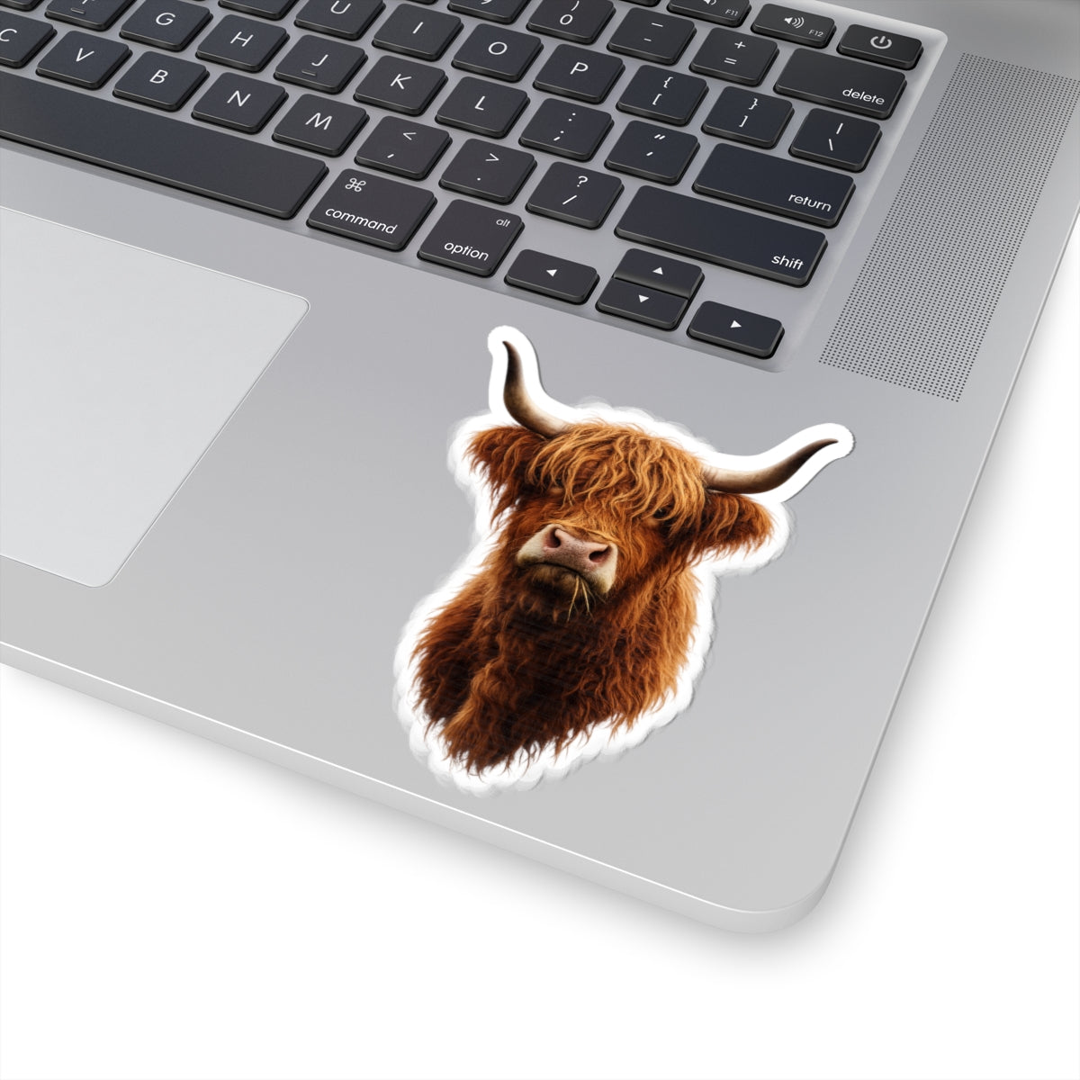 Highland Cow Head Sticker Kiss-Cut Stickers | Highland Cattle Decal