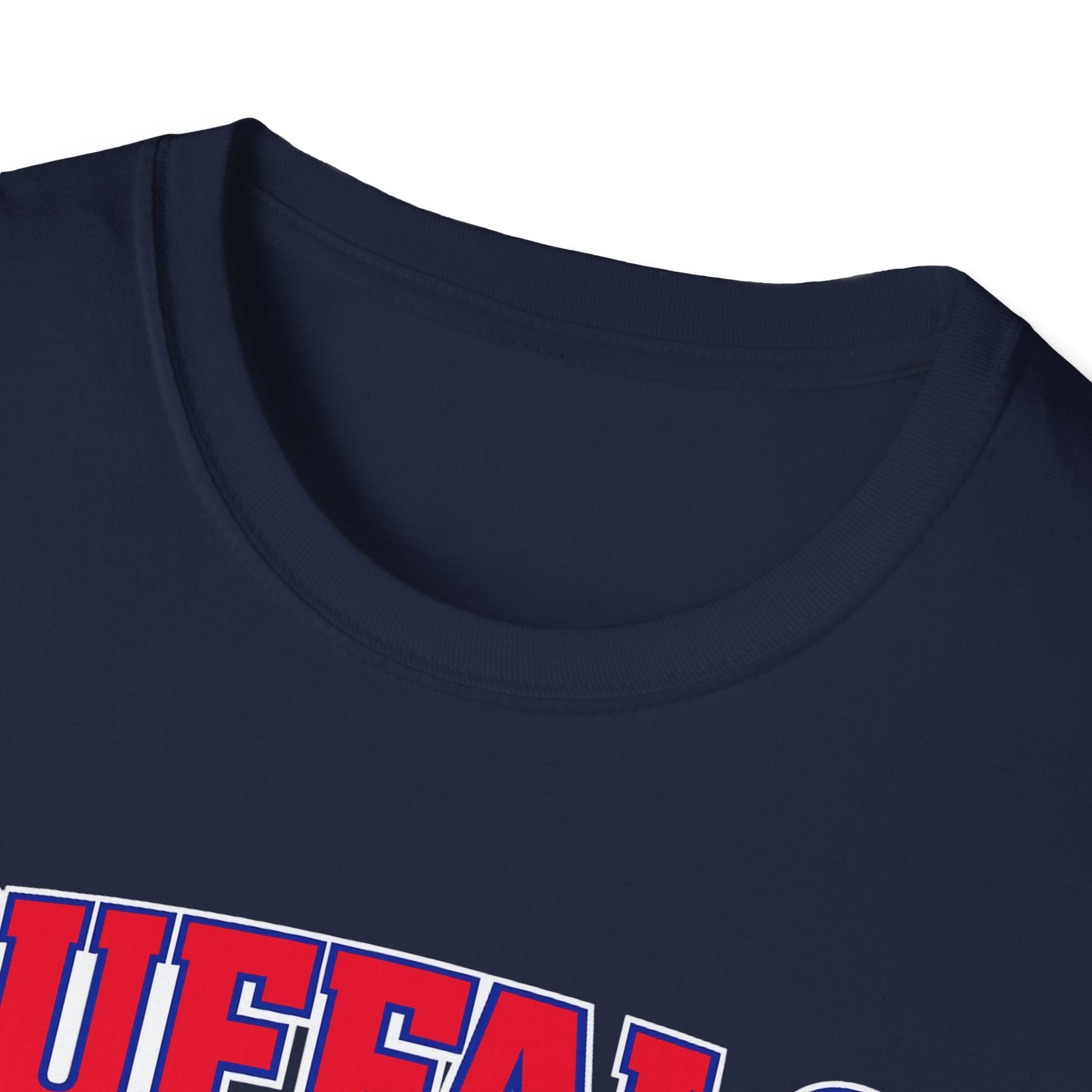 Buffalo vs Everyone T-Shirt | Buffalo Pride, Sports Fan Tee