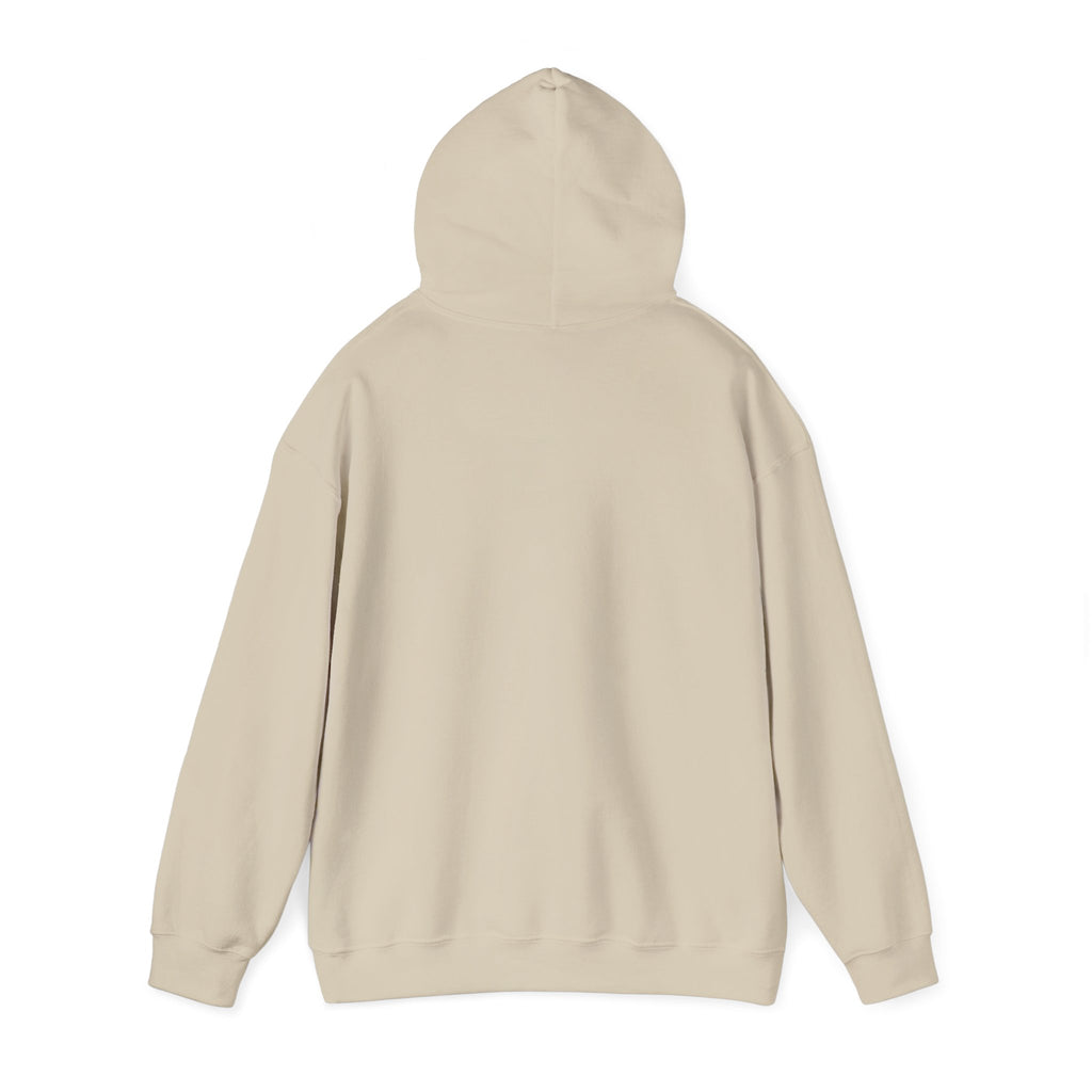 Take Me To The Mountains Hoodie — Adventure Graphic Pullover for Hikers