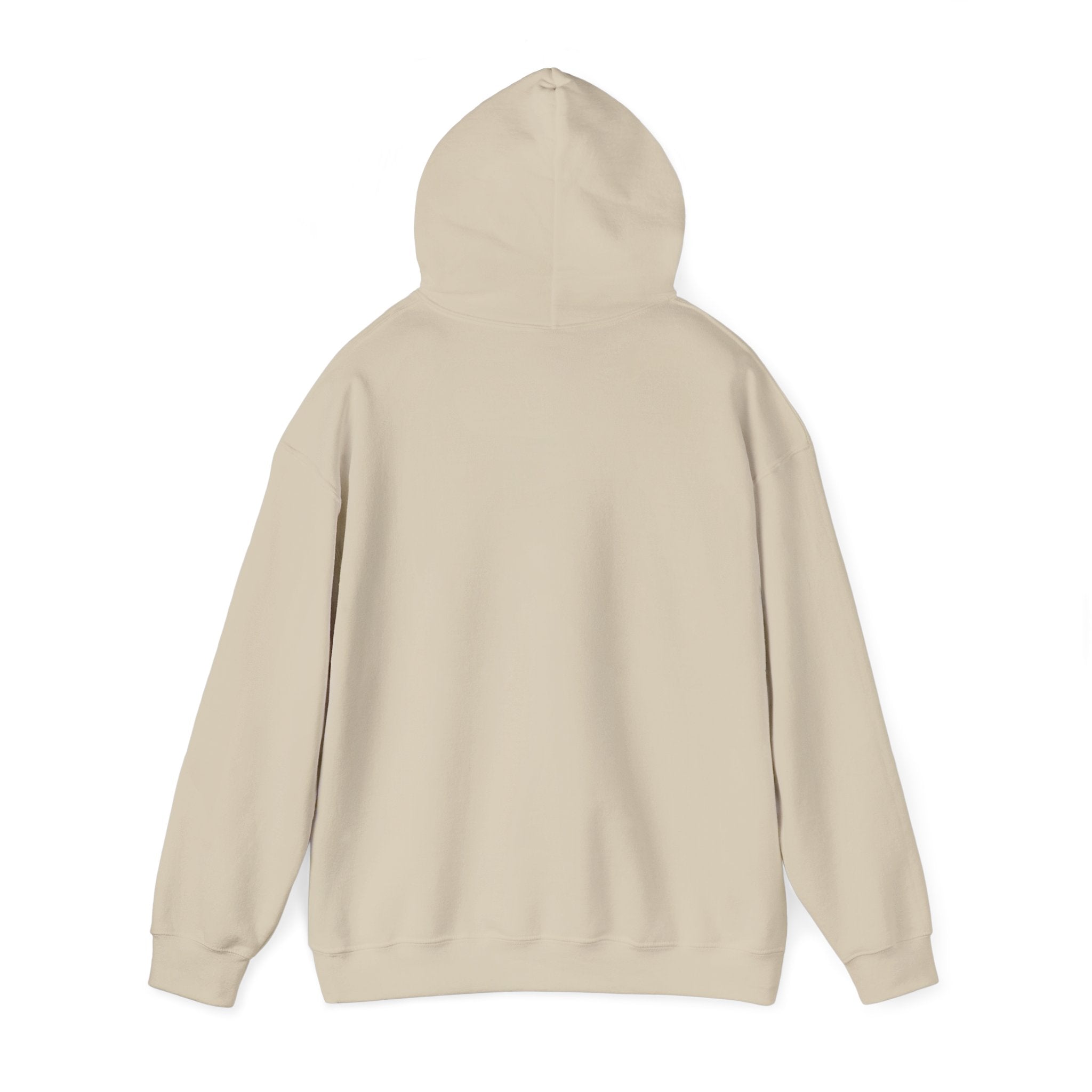 Take Me To The Mountains Hoodie — Adventure Graphic Pullover for Hikers