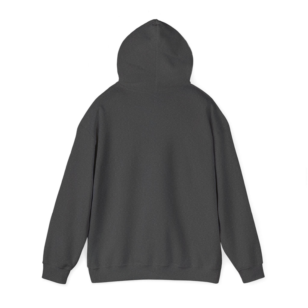 Buffalo For Life Hoodie | Buffalo graphic, sports town pride