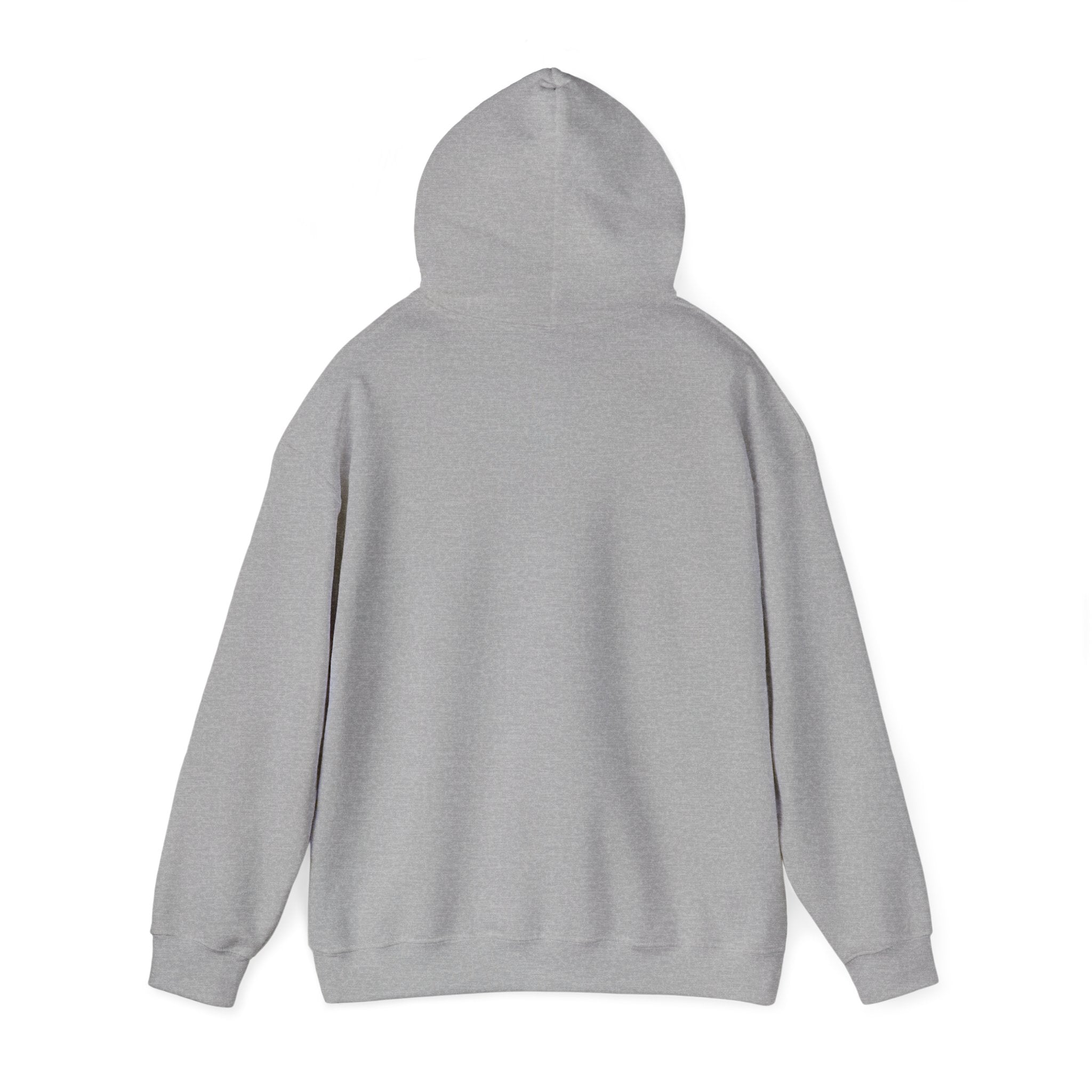 Buffalo City of Good Neighbors Hoodie