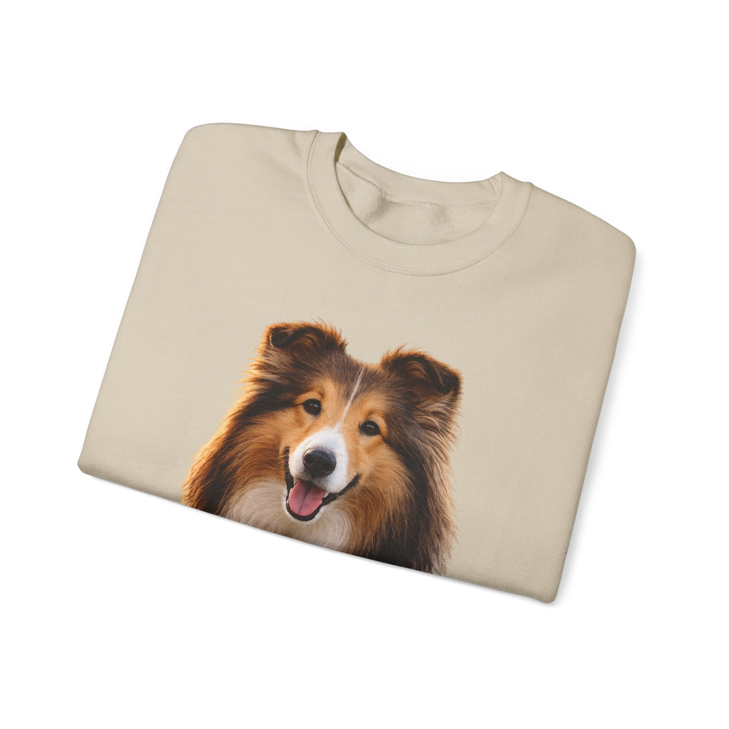 Smiling Collie Crewneck Sweatshirt | Collie Face Pullover