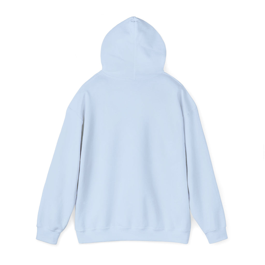 Take Me To The Mountains Hoodie — Adventure Graphic Pullover for Hikers
