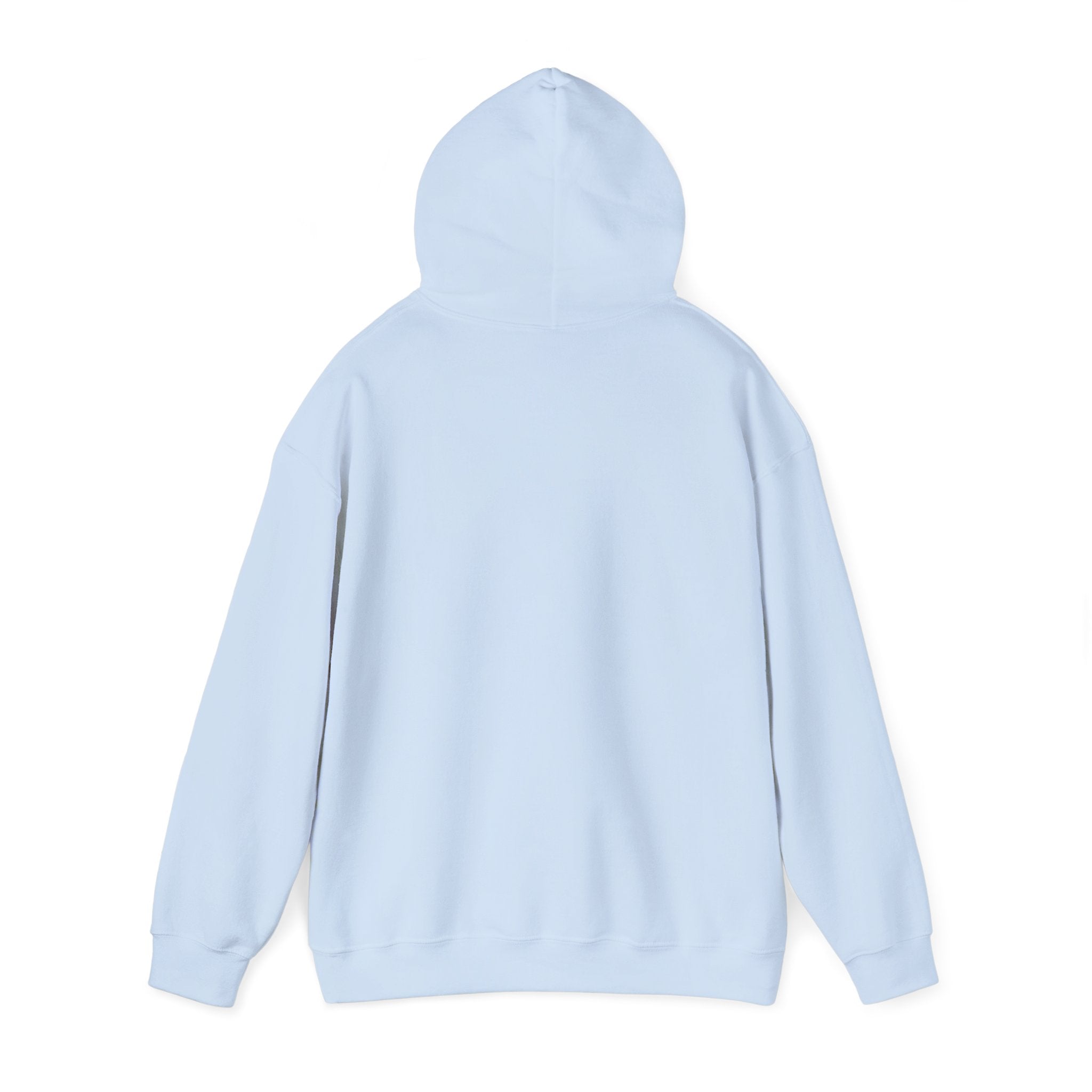Take Me To The Mountains Hoodie — Adventure Graphic Pullover for Hikers