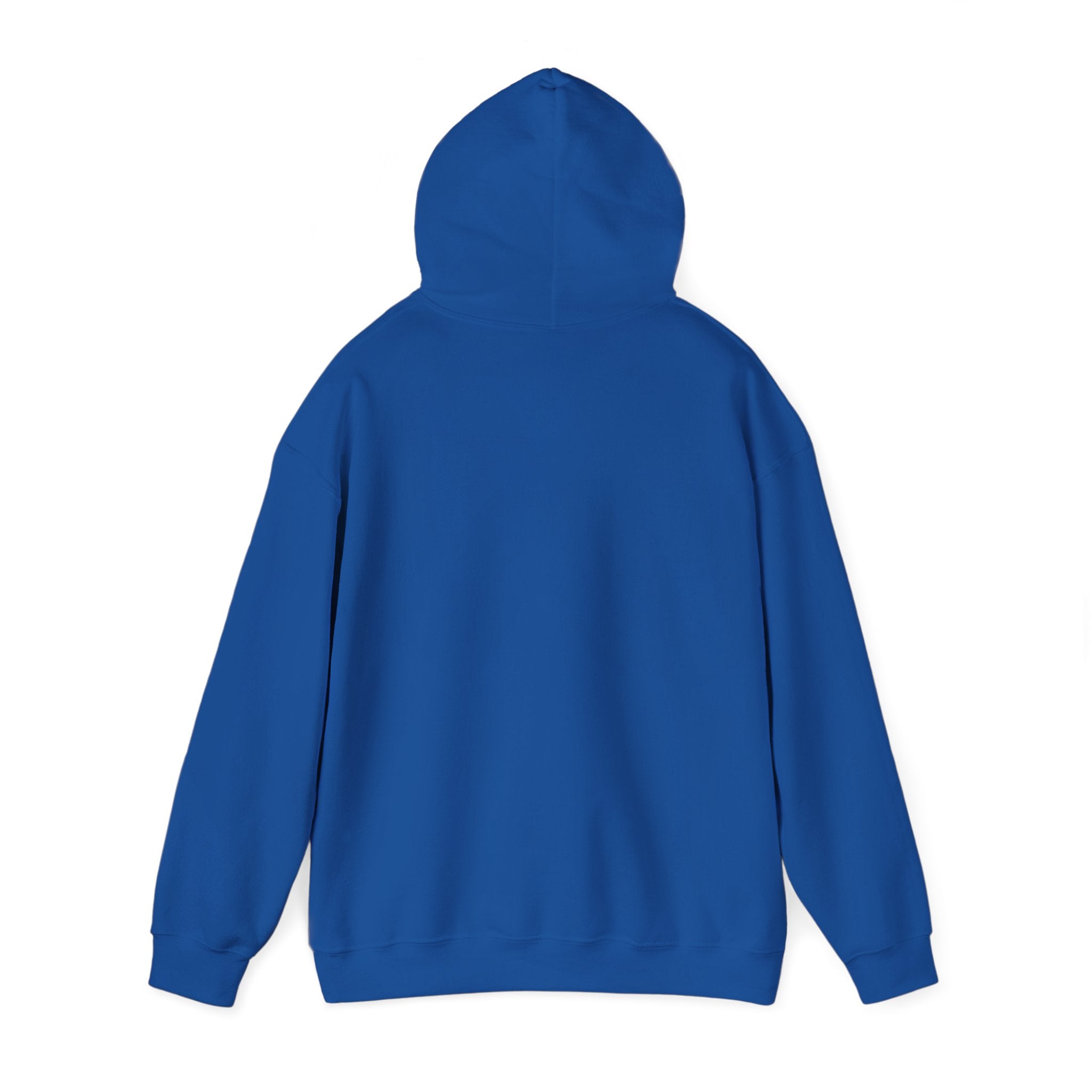 Buffalo For Life Hoodie | Buffalo graphic, sports town pride