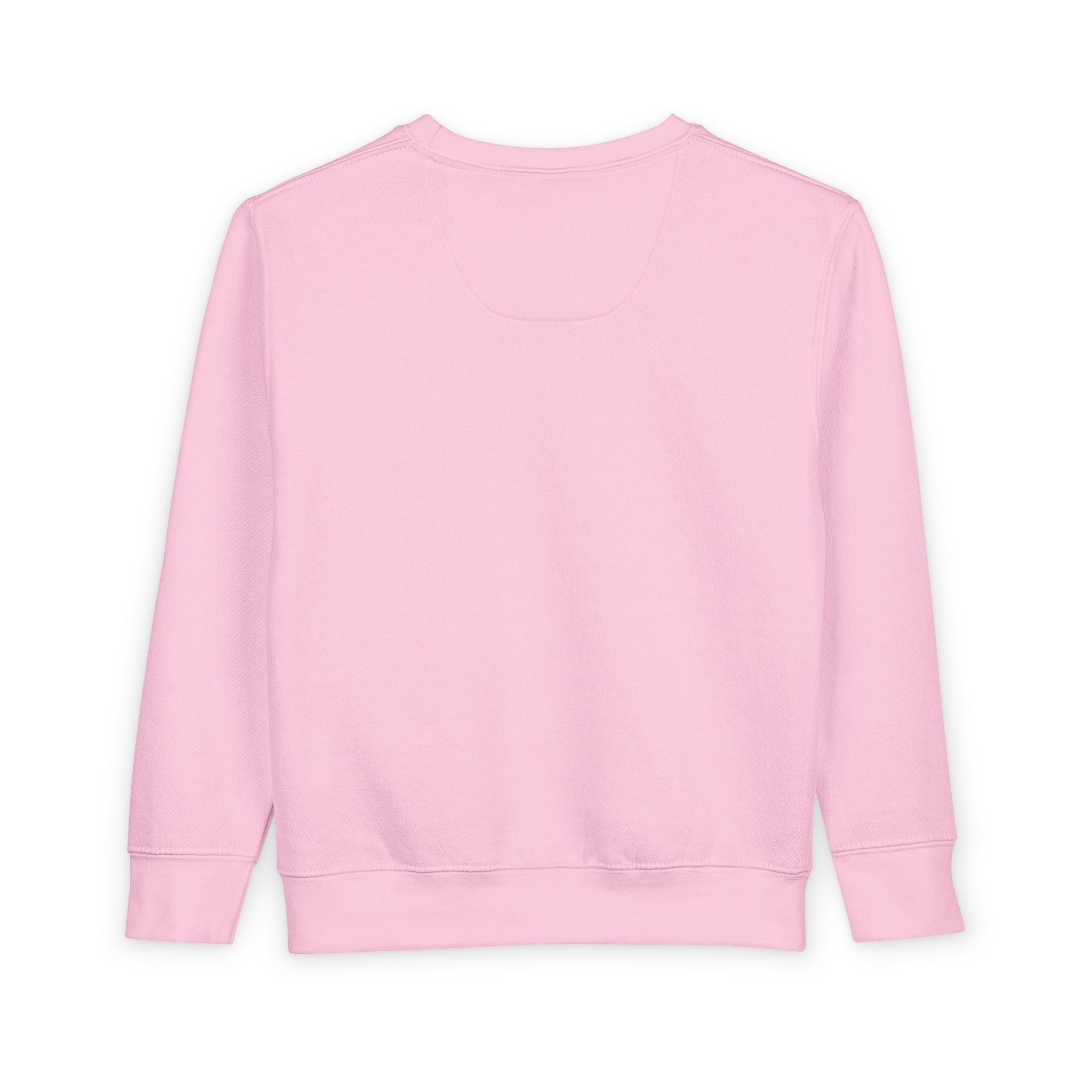 Pink Axolotl Toddler Sweatshirt | Cute Sea Creature Kids Top