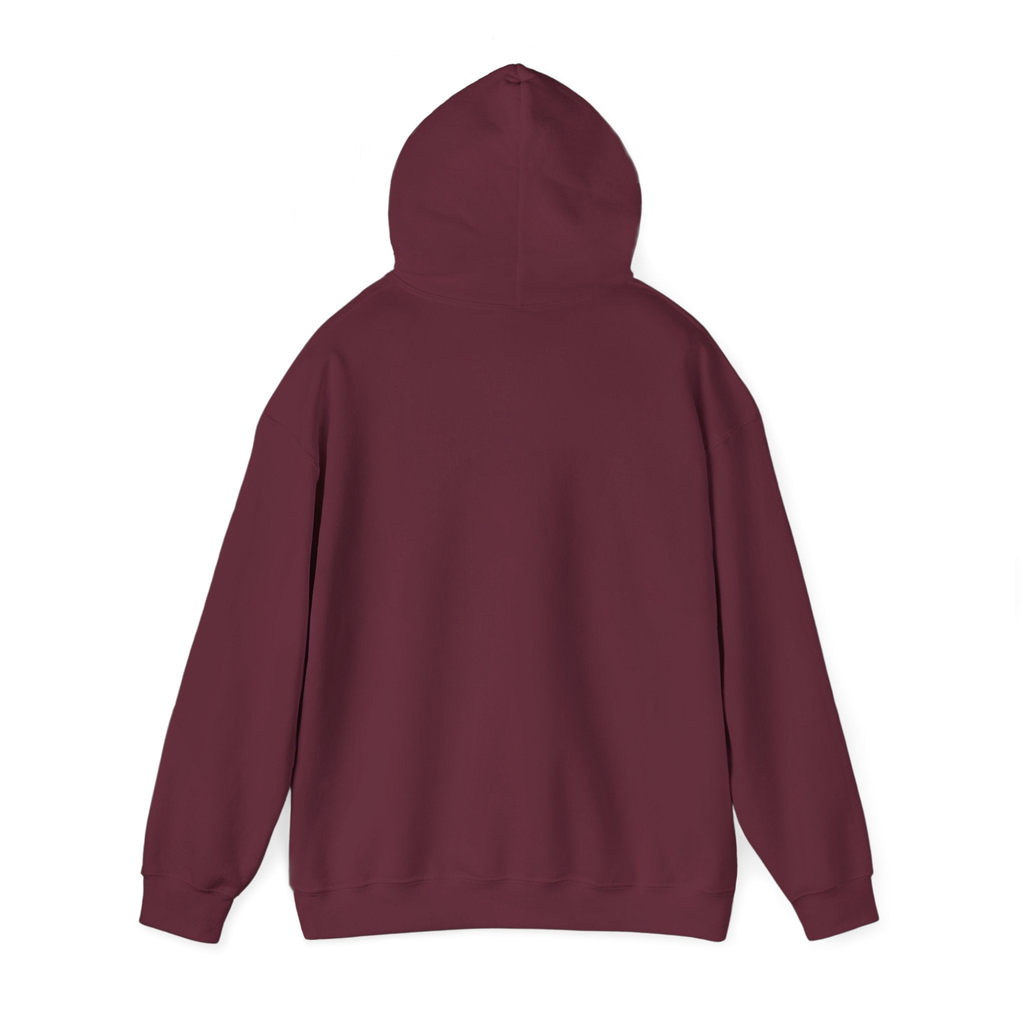 Take Me To The Mountains Hoodie — Adventure Graphic Pullover for Hikers