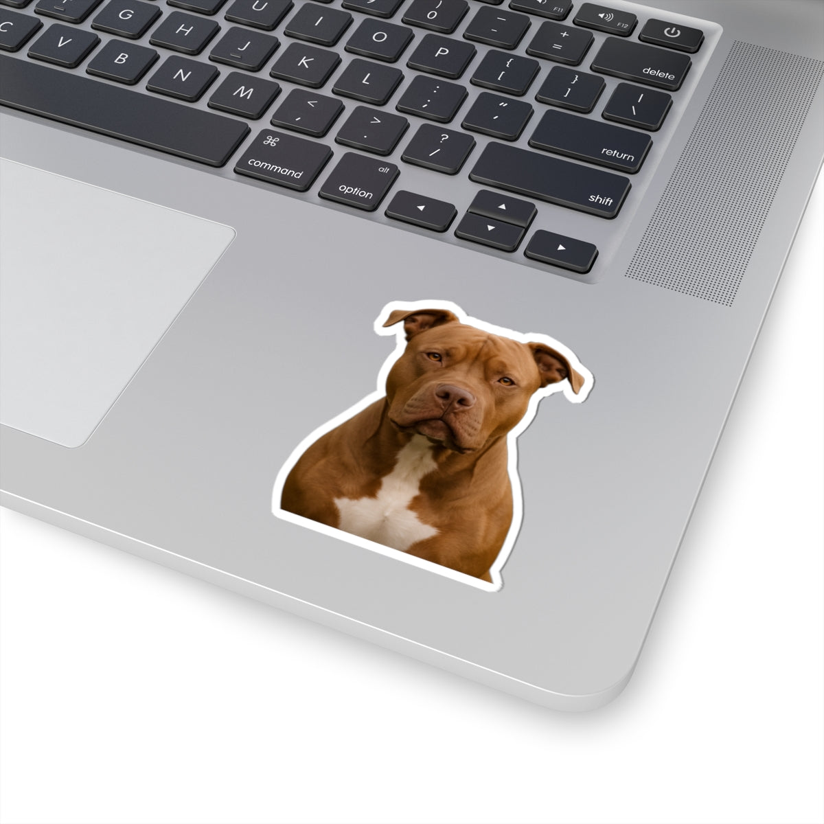 Pitbull Sticker | Kiss-Cut Dog Sticker, Vinyl Laptop Decal