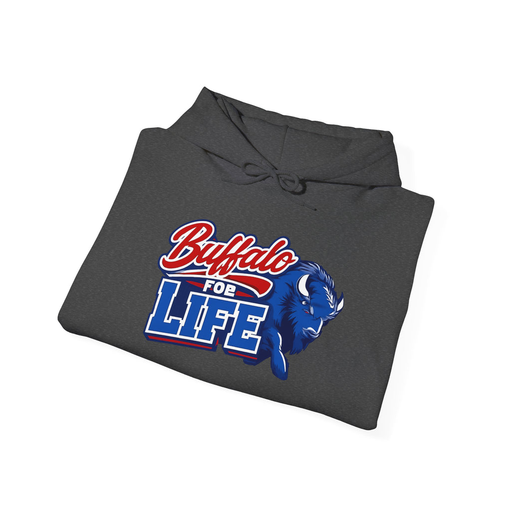 Buffalo For Life Hoodie | Buffalo graphic, sports town pride