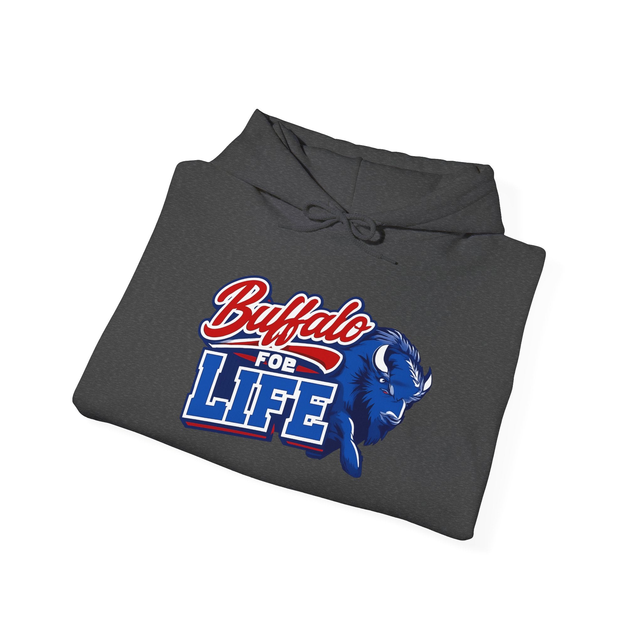 Buffalo For Life Hoodie | Buffalo graphic, sports town pride