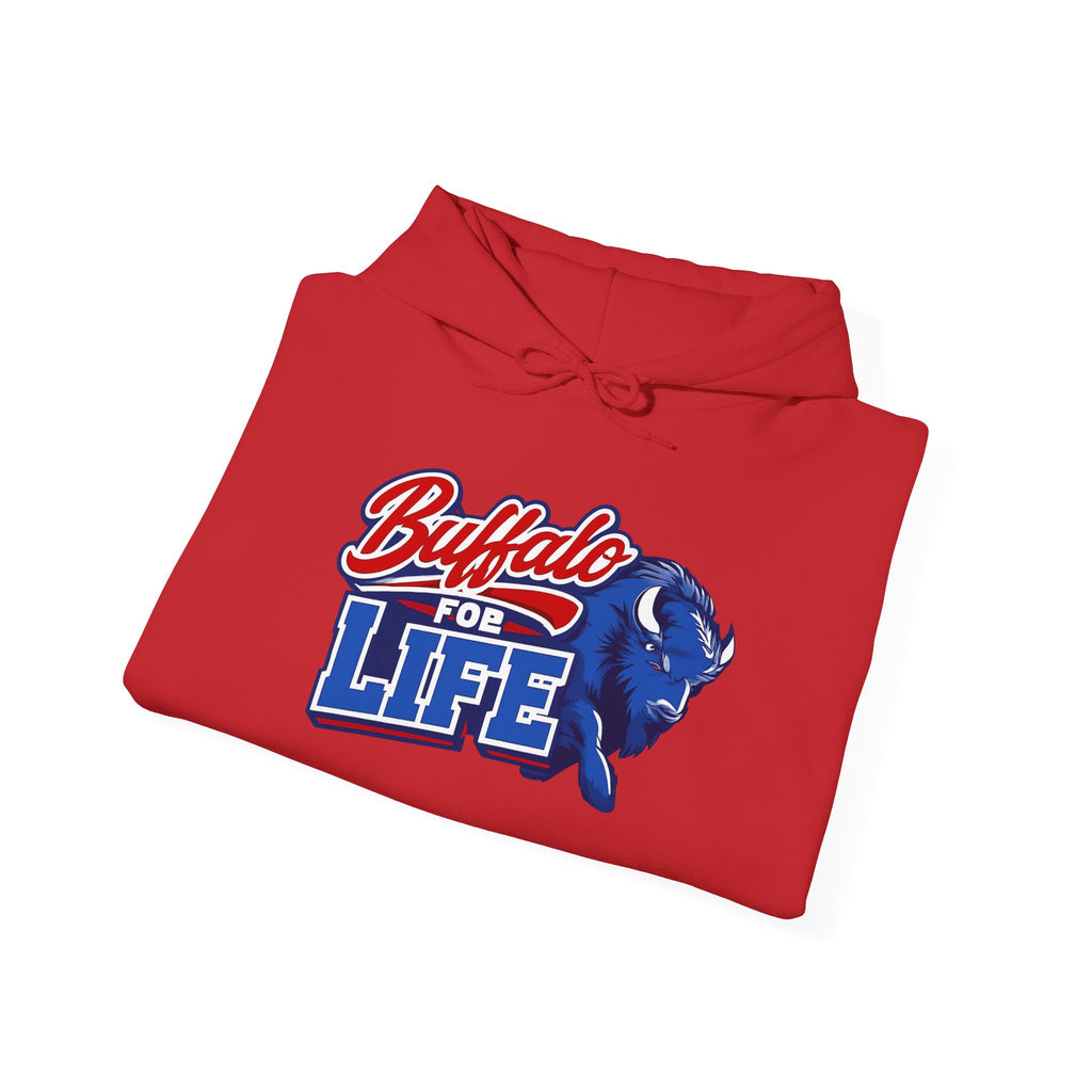 Buffalo For Life Hoodie | Buffalo graphic, sports town pride