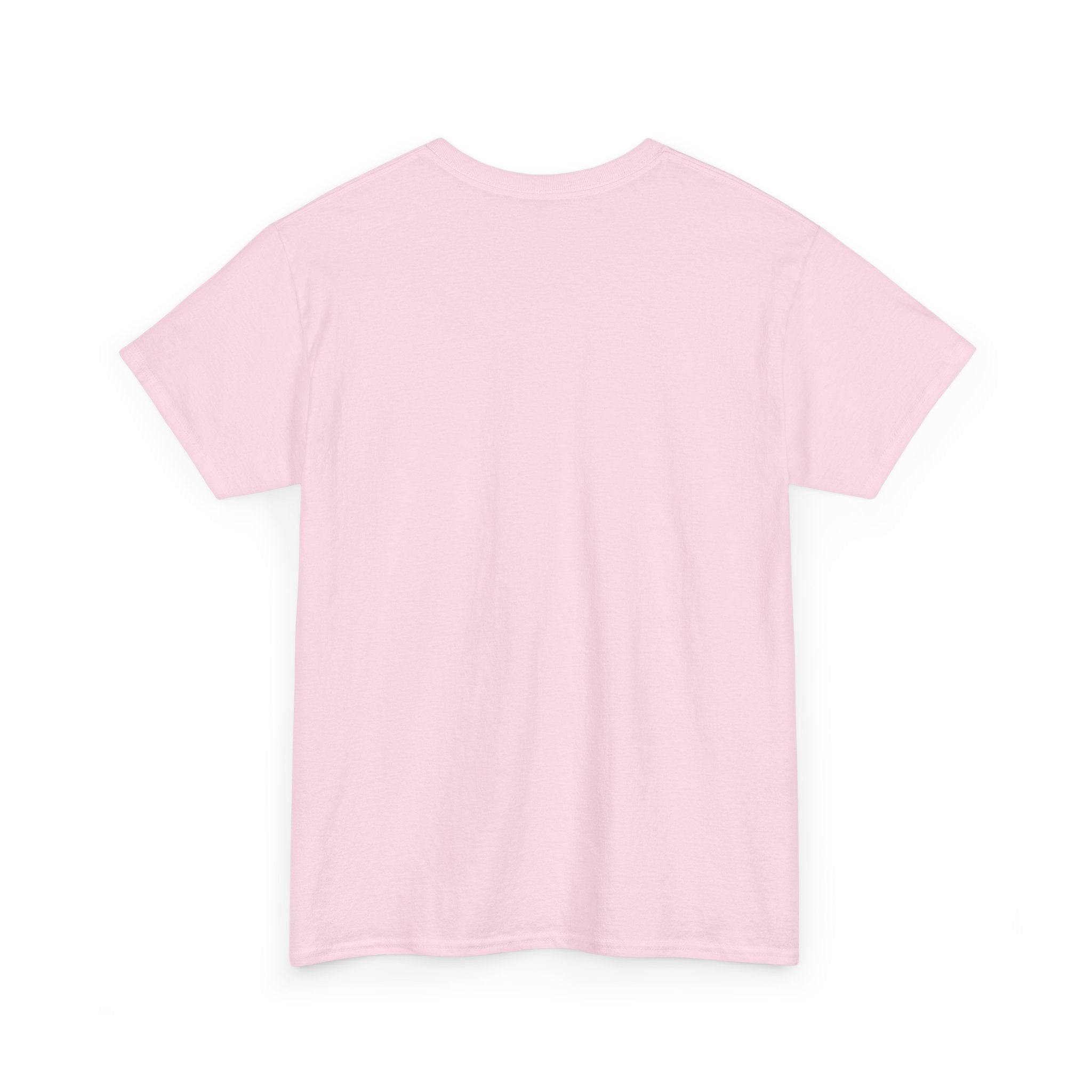 Fun Fact I Really Don't Care T-Shirt