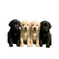 Labrador Retriever Puppies Kiss-Cut Stickers | Puppy Laptop Decal