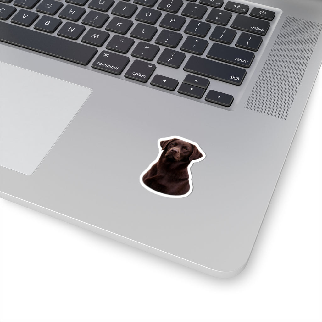 Chocolate Labrador Portrait Sticker | Kiss-Cut Sticker
