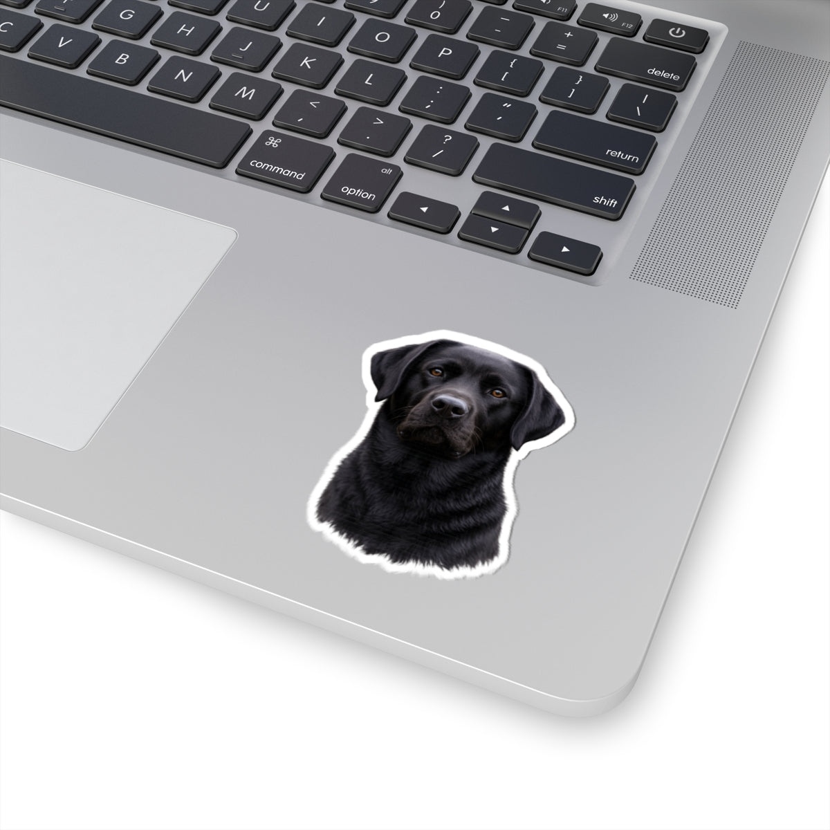 Black Labrador Retriever Portrait Sticker | Kiss-Cut Dog Sticker