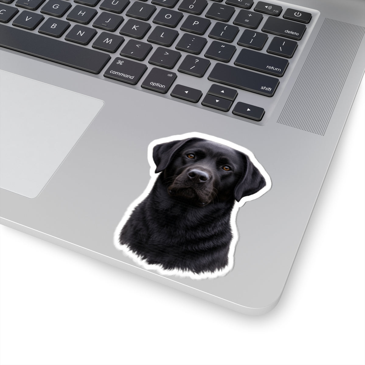 Black Labrador Retriever Portrait Sticker | Kiss-Cut Dog Sticker