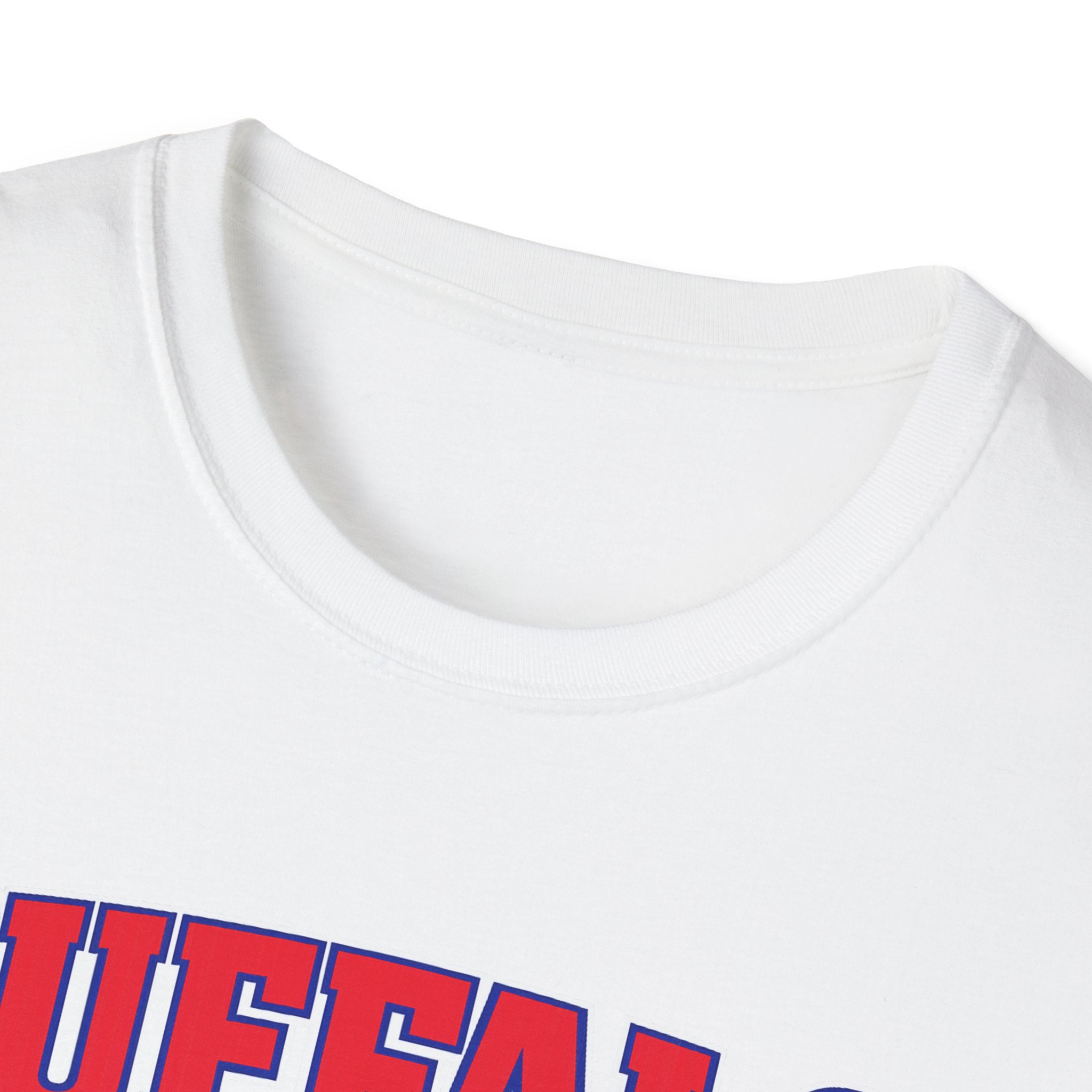 Buffalo vs Everyone T-Shirt | Buffalo Pride, Sports Fan Tee