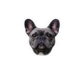 French Bulldog Face Sticker | Kiss-Cut Sticker