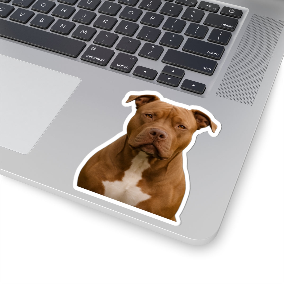 Pitbull Sticker | Kiss-Cut Dog Sticker, Vinyl Laptop Decal