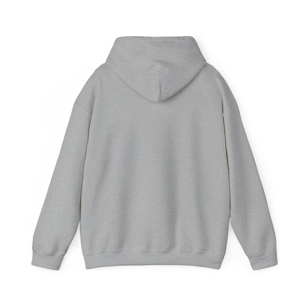 Buffalo For Life Hoodie | Buffalo graphic, sports town pride